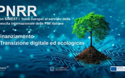 Accedi ai Fondi Europei per la tua azienda con Simest
