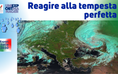 Newsletter Export 2030 #8: Reagire alla Tempesta Perfetta
