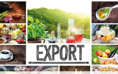 Focus Export Agroalimentare: Domande e Risposte per le PMI Italiane