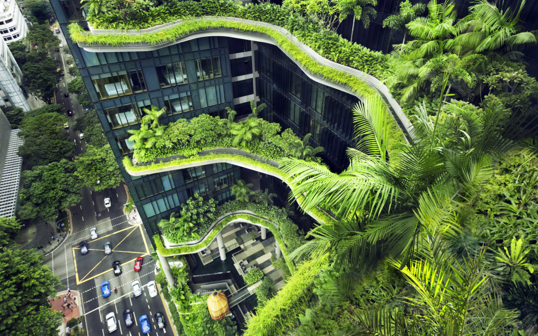 Novità per le Importazioni da Singapore