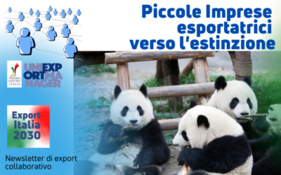 Newsletter Export 2030 #38: Piccole Imprese Esportatrici verso l’Estinzione