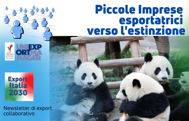 Newsletter Export 2030 #38: Piccole Imprese Esportatrici verso l’Estinzione