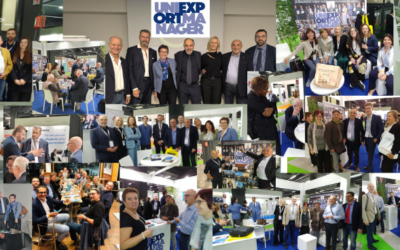 Comunicato Stampa Assemblea 2024