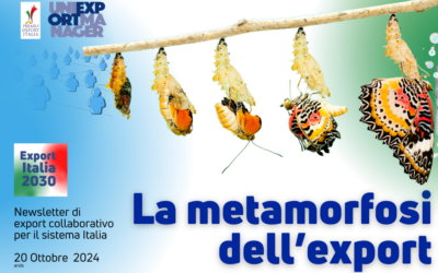 Newsletter Export 2030 #75: La Metamorfosi dell’Export